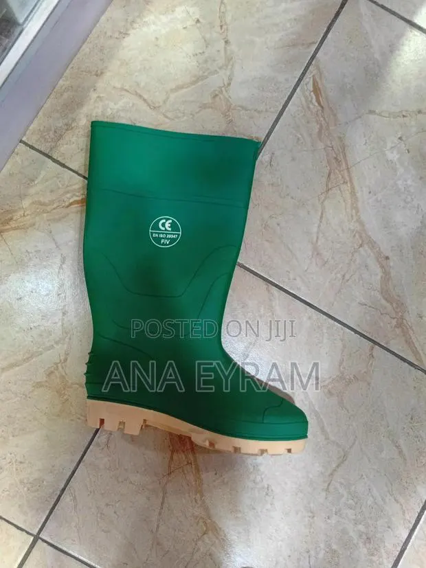 Normal Wellington Boot · Photo 1