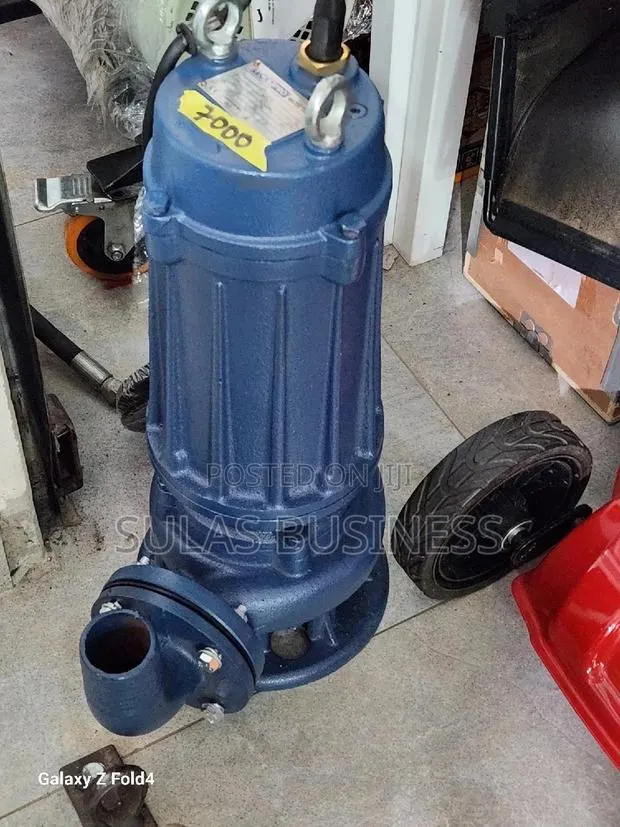 3.0 HP Sewage Lucy PRO Pump · Photo 1