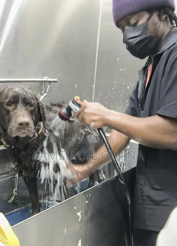 Dog Grooming Home Service in Accra Ghana