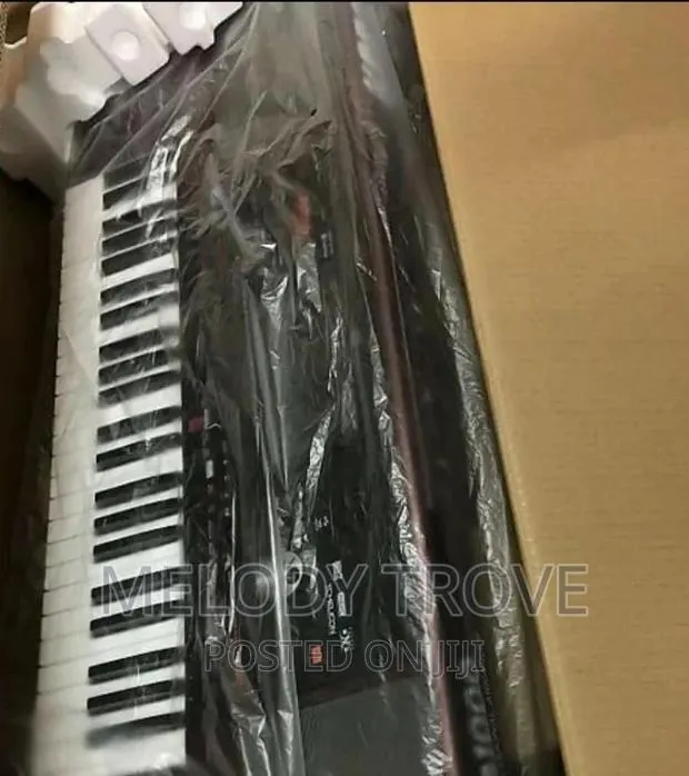 Korg Pa1000 61-Key Professional Arranger Keyboard · Photo 1