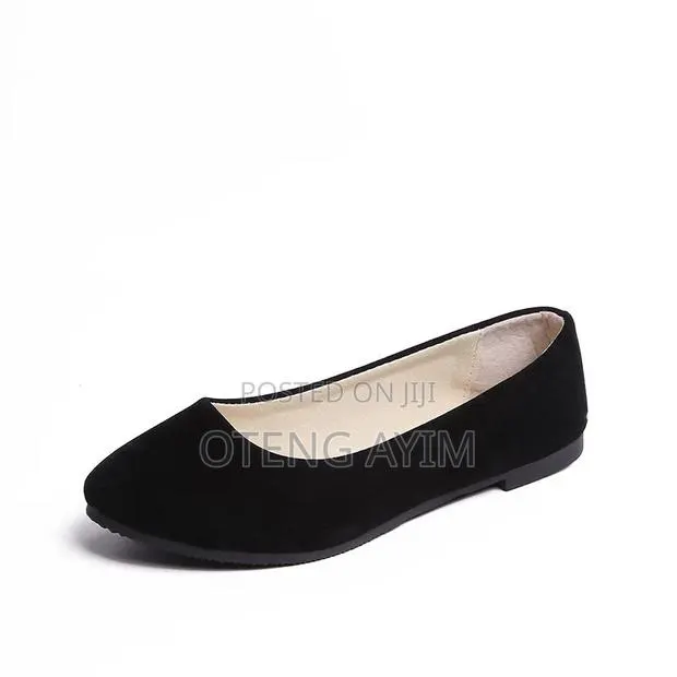 Ladies Suade Loafer Shoe in Box · Photo 1