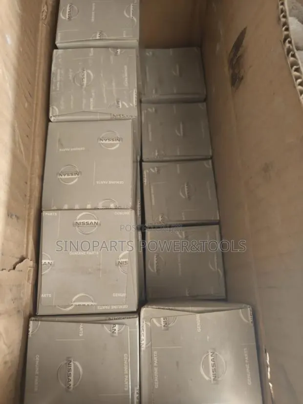 Nissan 15208-Ed50a Oil Filter for Qashqai Tiida X-Trail · Photo 1