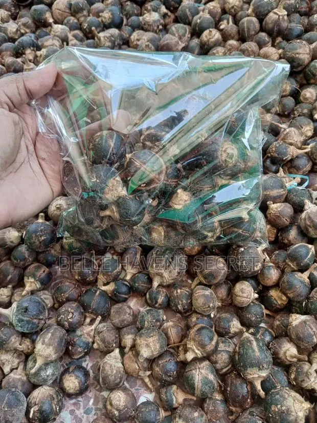 Gorontula Fruit · Photo 1