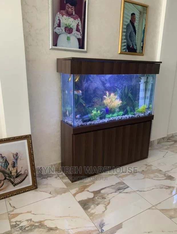 Mr Brown Aquaruim Setup With Fishes · Photo 1