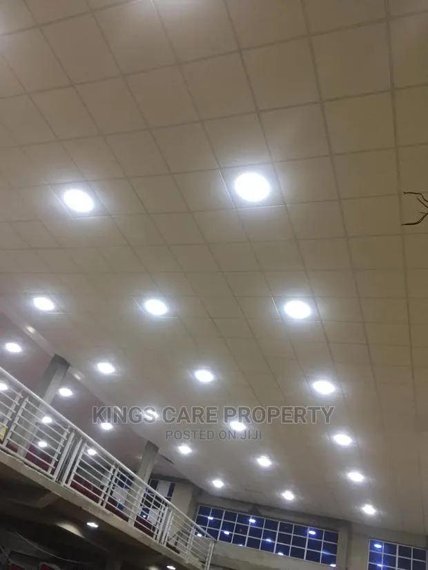 Acoustic Ceiling · Photo 1