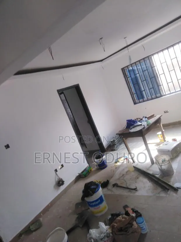 Professional Painter · Photo 1
