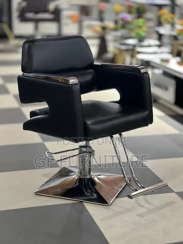 Modern Professional Salon Styling Chair · Photo 2