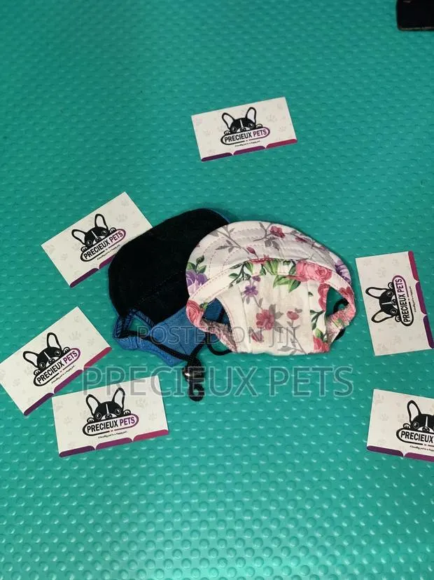 Toy Dog Clothings Series 0053 · Photo 1