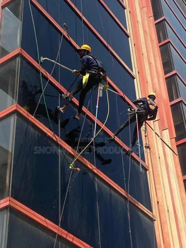 Professional Cleaning Services · Photo 1