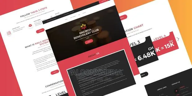 Professional Website · Photo 1