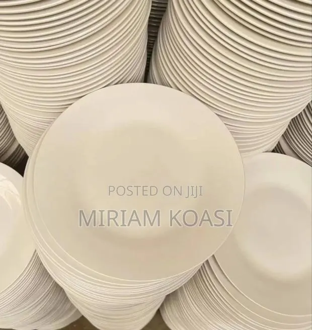 Round Dinner White Plates: Rent