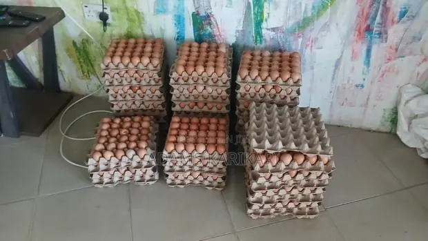Chicken Fresh Eggs · Photo 1