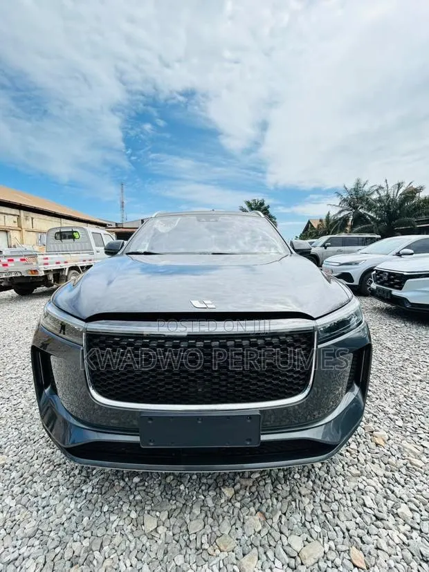Dongfeng EV EX1 33 kW FWD 2023 Gray · Photo 1