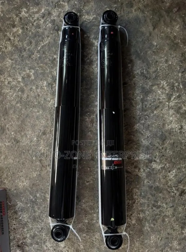 Ford F-150 Back Shorks Absorbers · Photo 1