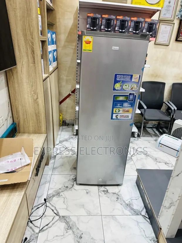 Fast Freezing Upright Nasd1-33 Freezer Nasco Grey Single Door · Photo 1
