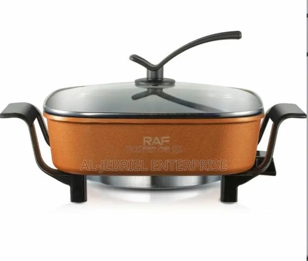 AILYONS Multi-Function Electric Cooking Pot · Photo 1