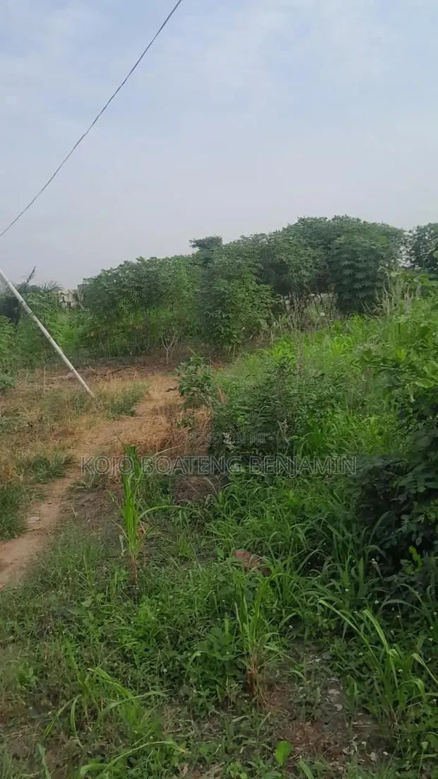 Plots of Land for Sale · Photo 1