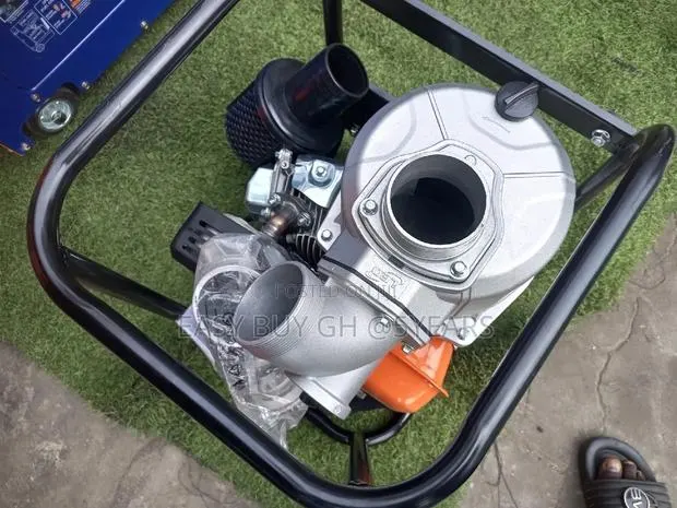 6.5hp Super Powerful Water Pump Leo Brand Water Supply Pump. · Photo 1