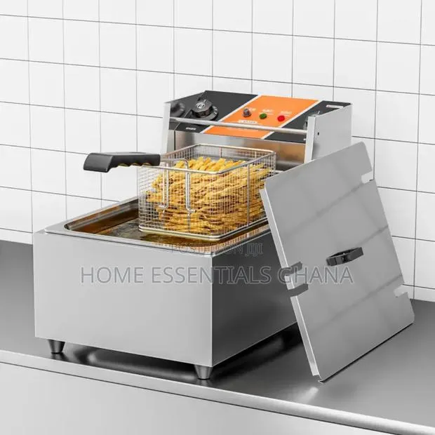 Single Deep Fryer – Stainless Steel Electric Frying Machine · Photo 1