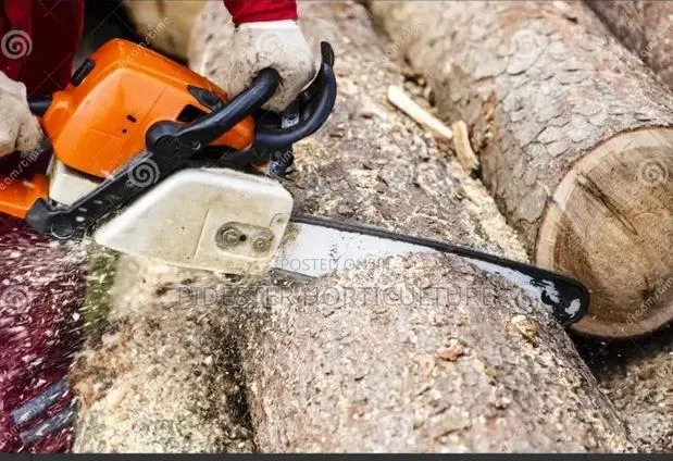 Tree Cutting / Hiring of Chain Saw Machine Services · Photo 1
