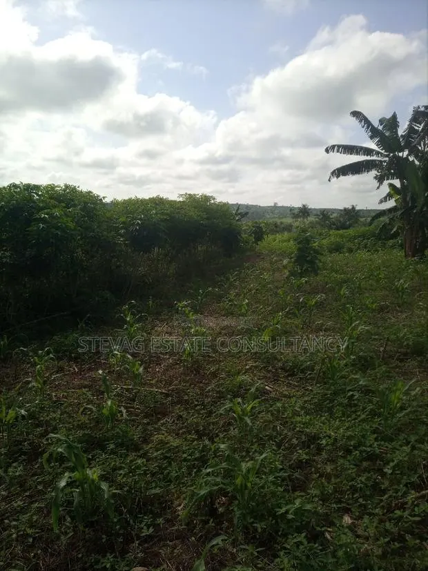 Alpha Land for Sale at Gomoa Buduatta · Photo 1