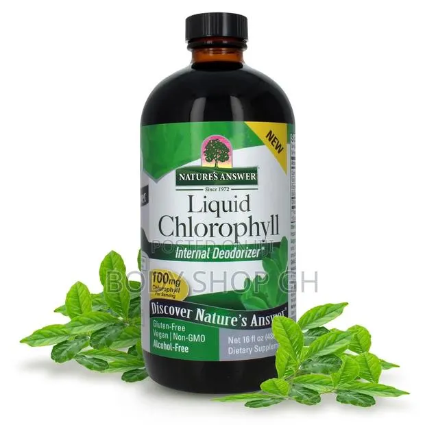 Nature's Answer Liquid Chlorophyll, 100 Mg, 16 Fl Oz (480 Ml) · Photo 1