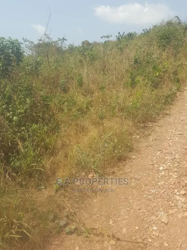 Dodowa Palm Wine Junction · Photo 1