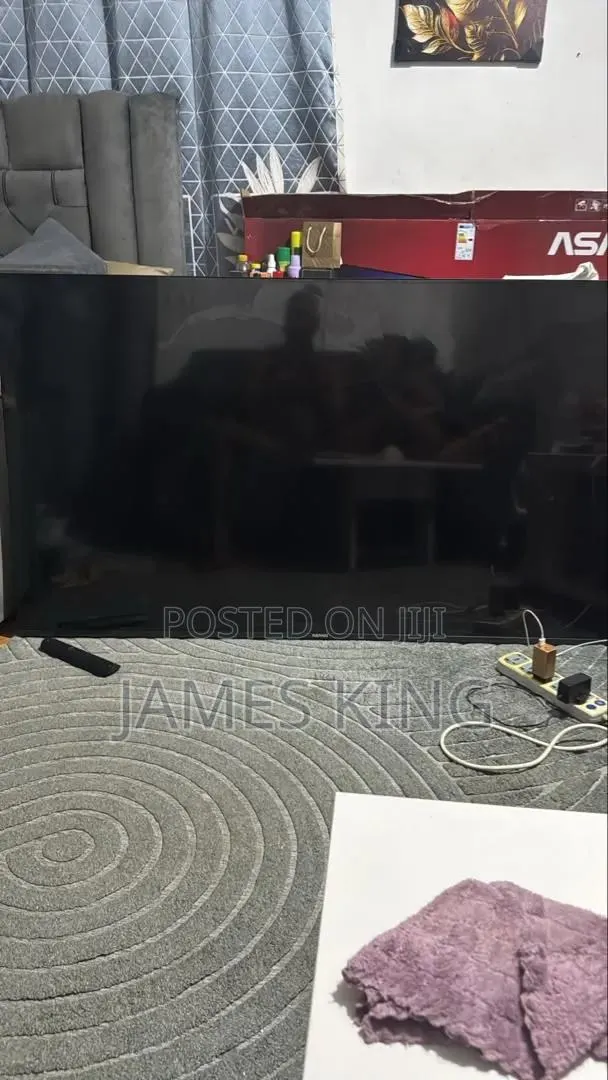 Asano 65" Broken Screen · Photo 1