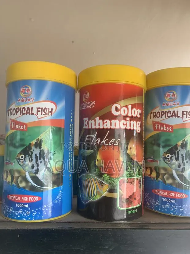 Aquarium Feed · Photo 1