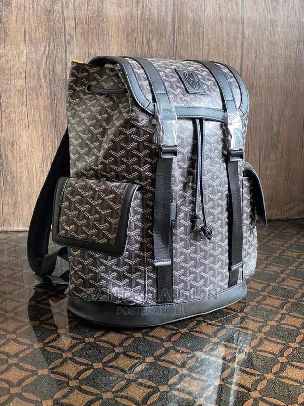 Goyard Backpack · Photo 1
