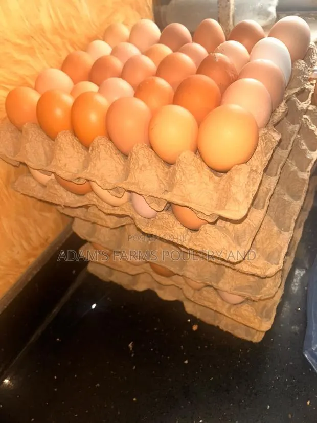Chicken Table Eggs · Photo 1