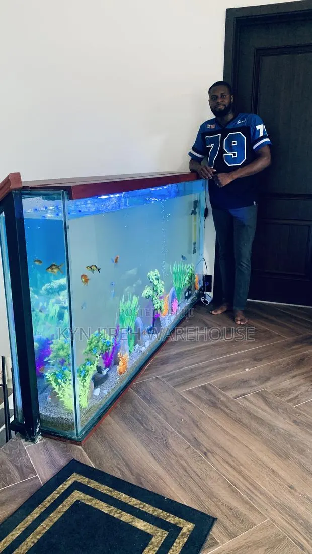 Staircase View Aquarium With 15 Fishes · Photo 1