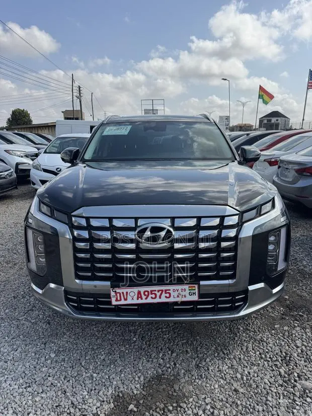 Hyundai Palisade Calligraphy 2023 · Photo 1