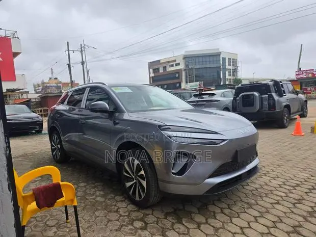 New BYD Sealion 06 DM-i 2025 Gray · Photo 1