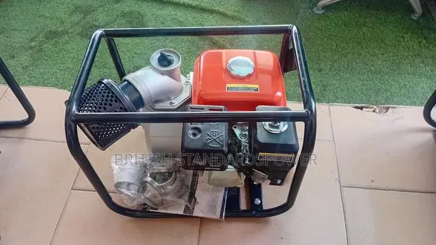 Water Pump Built for Long Term Use 6.5hp Leo Trusted at Water Pump · Photo 1