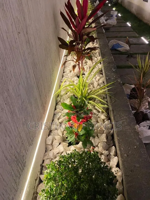 Chris Garden · Photo 3
