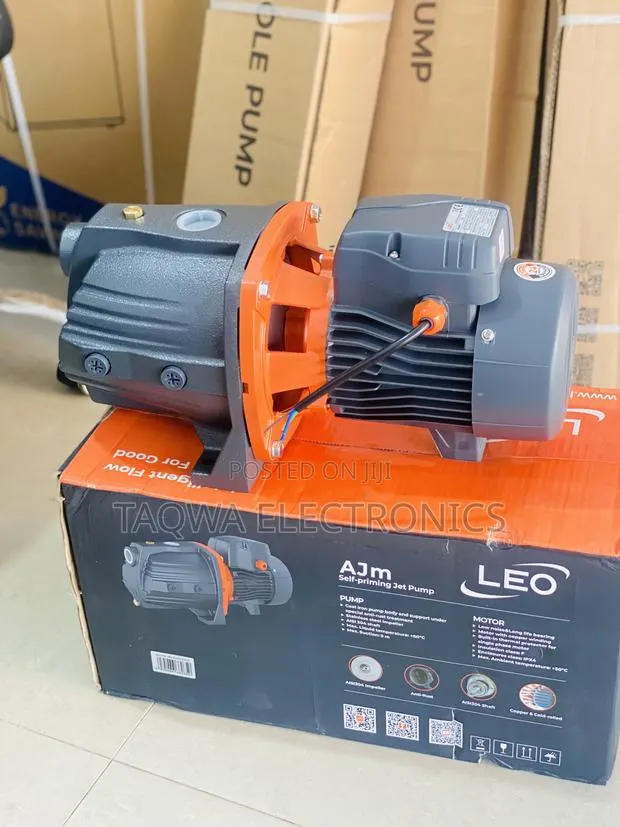 Designed Leo Surface 1hp Cast Pump · Photo 1