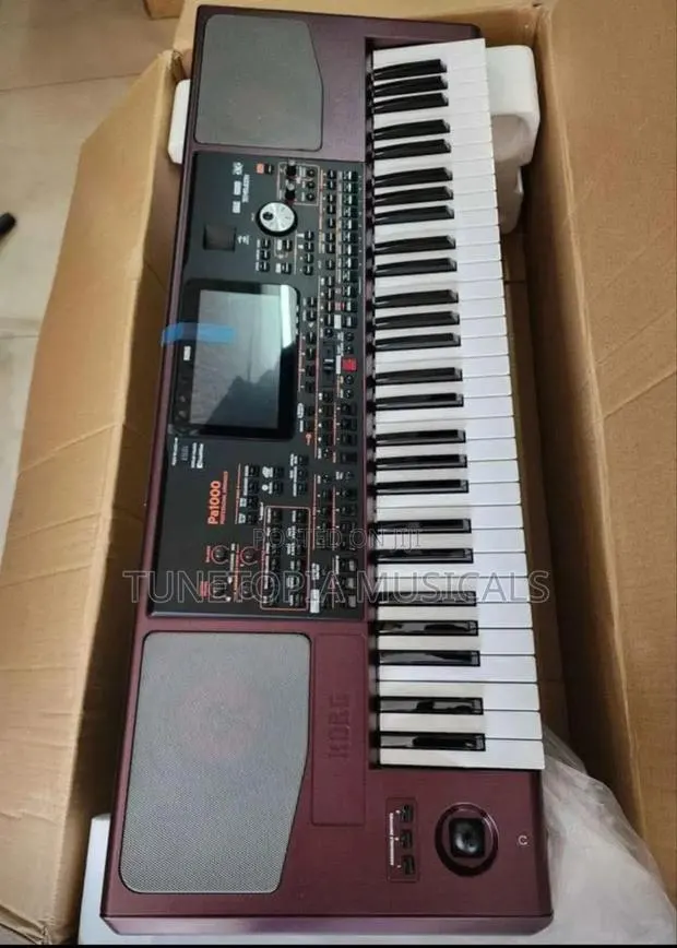 Korg Pa1000 61-key Professional Arranger Keyboard · Photo 1