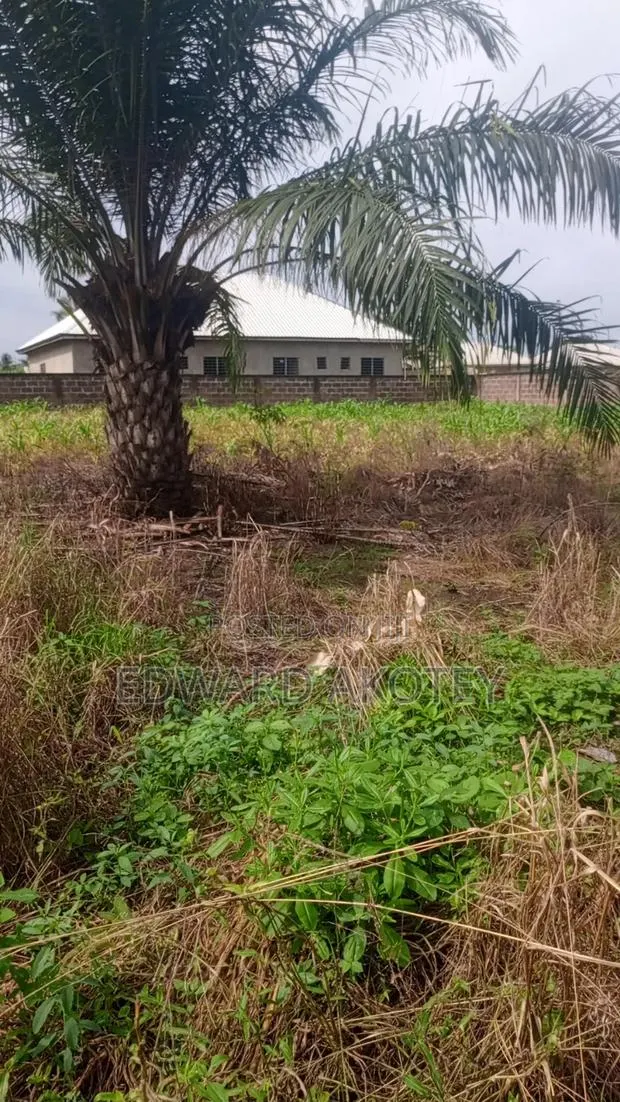 Roadside Land for Sale · Photo 1