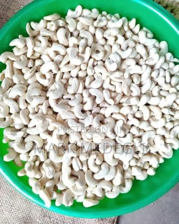 Cashew Kennel Available in Accra Ghana for Sale · Photo 1