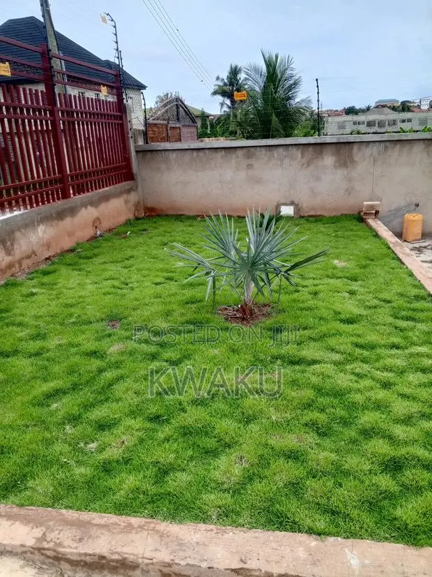 Flowers and Green Grass for Sale · Photo 1