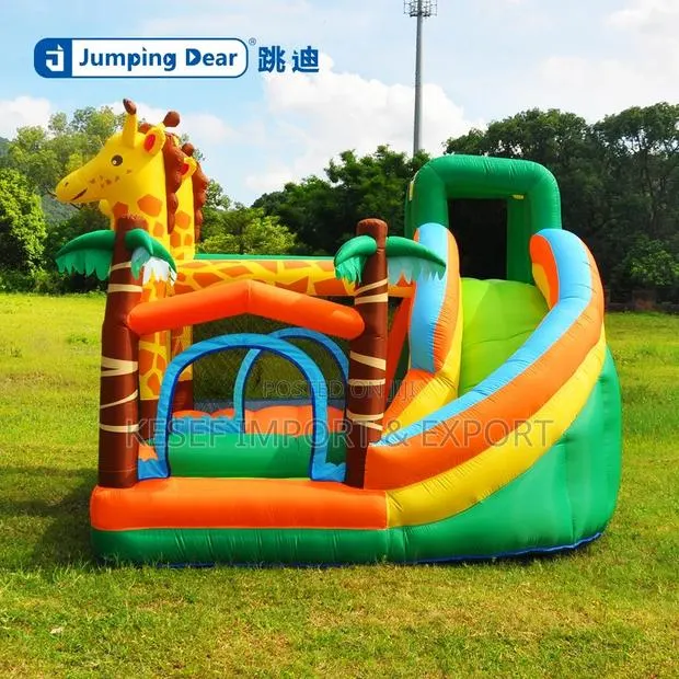 Bouncing Castle Large Size · Photo 3