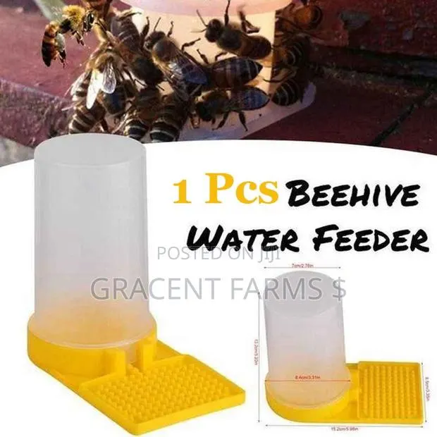 Bees Jar Drinker/Feeder · Photo 1