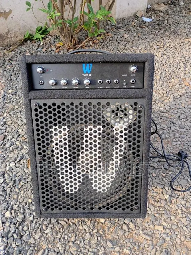Warwick Blue Cab Take 12 Bass Combo · Photo 1