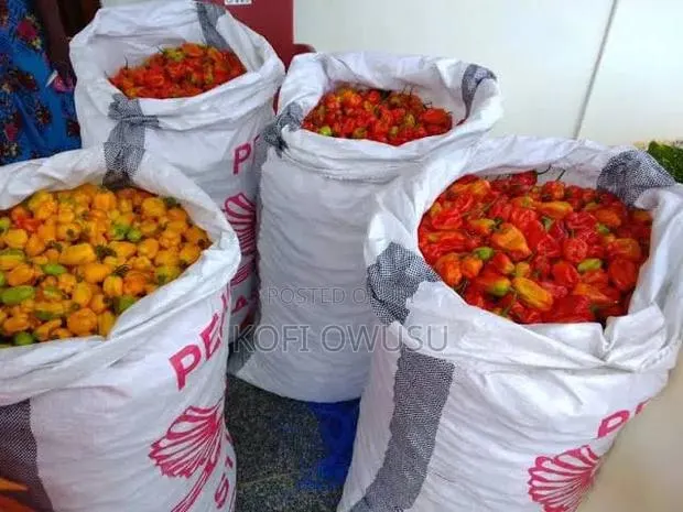 Fresh Habanero Pepper · Photo 1