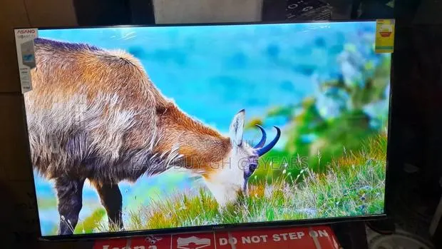 Feel Every Scene With Ansano 50” Display · Photo 1