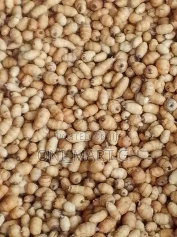 Washed Juicy Tigernuts/Atadwe · Photo 1
