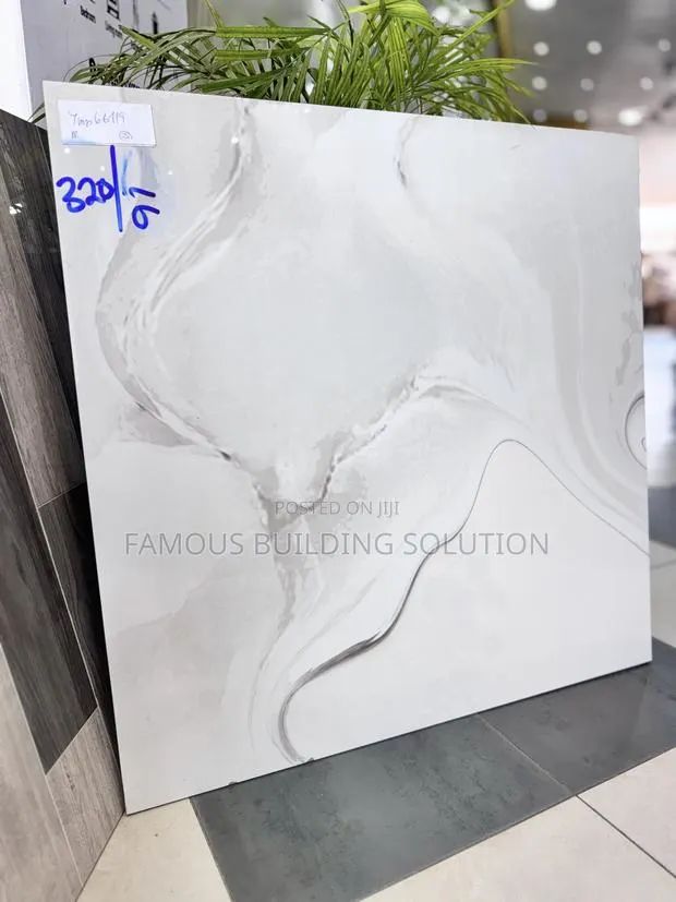 Twyford 60/60 Polished Tiles · Photo 1