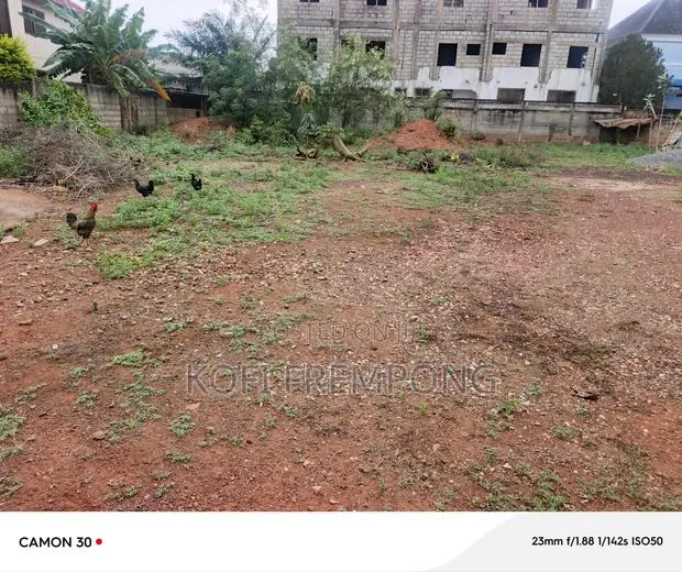 Land for Rent. · Photo 1