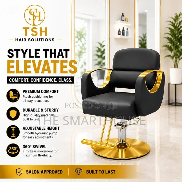 Luxury Professional Salon Chair · Photo 1